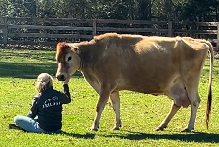 Three Birds Farm - Kids activities in Marietta, GA