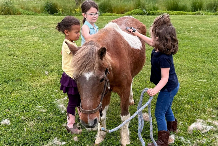 Three Birds Farm - Kids activities in Marietta, GA
