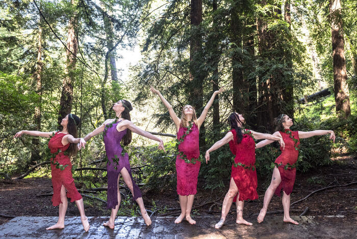 RammDance - Kids activities in Orinda, Lower Lake