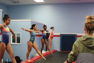 Provider image for Wolfpak Gymnastics