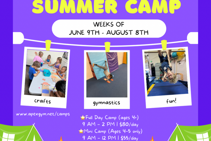 Apex Gymnastics San Jose  - Kids activities in San Jose, CA