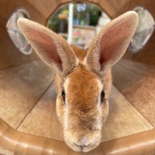 Provider image for The Urban Preschool & Afterschool Art Program