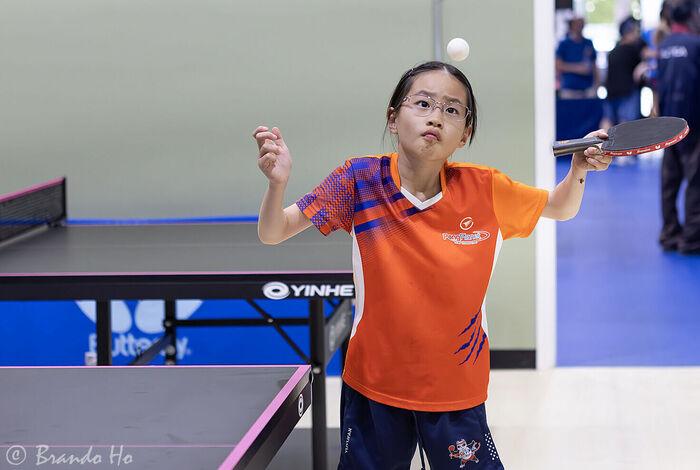 PongPlanet - camps, classes and birthday parties in San Carlos, Hayward