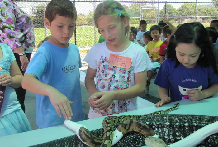 Stratford School Summer Camps Schedule Reviews Activityhero