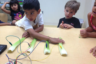 Provider image for scienceSeeds