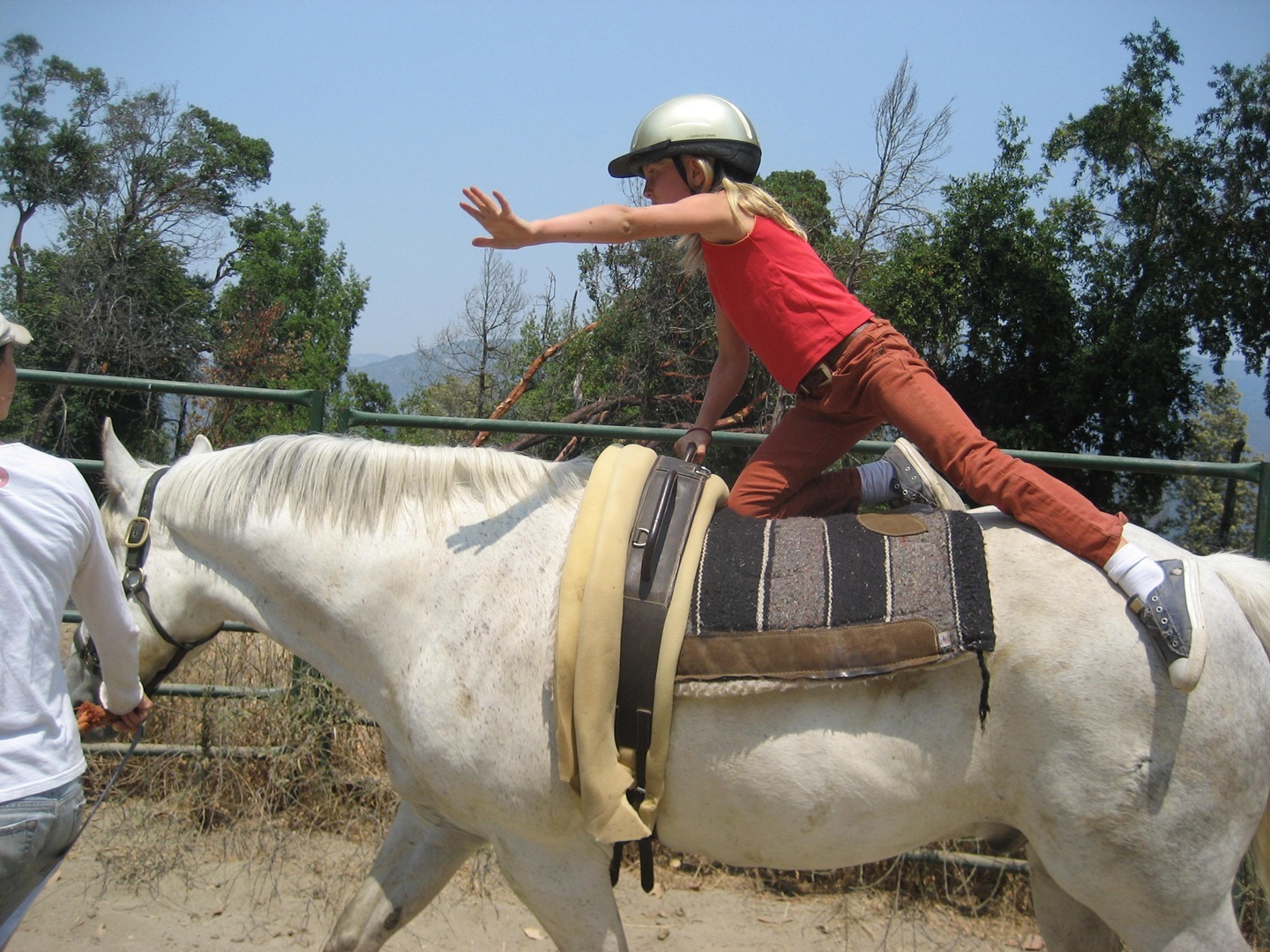 Los Gatos Farms Schedule Reviews Activityhero